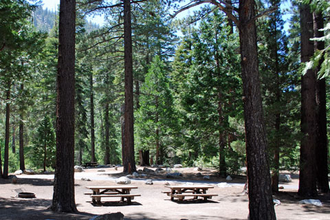 Baker Campground, Stanislaus National Forest, CA