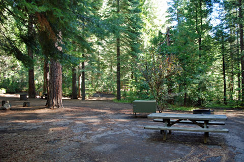 Campsite at North Grove Campground, Calaveras Big Trees State Park, CA