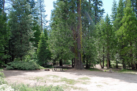 Brightman Flat Campground, Stanislaus National Forest, CA
