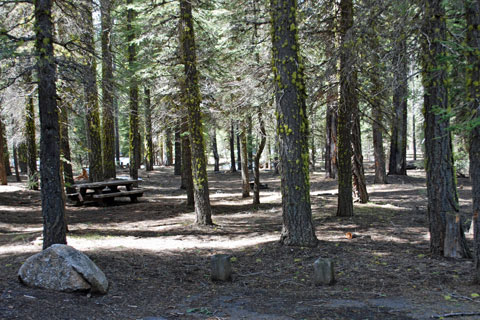 Clark Fork Campground, Stanislaus National Forest, CA