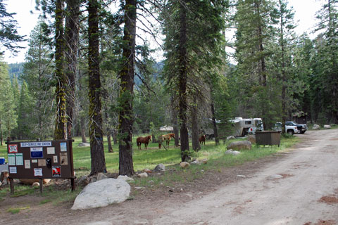 Clark Fork Horse Campground, Stanislaus National Forest, CA
