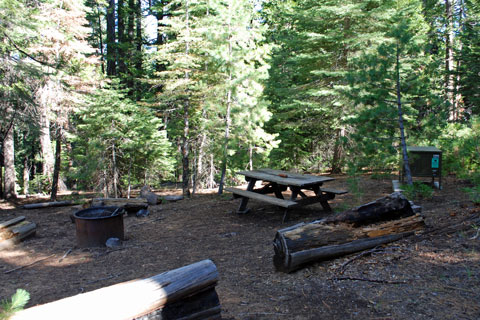 Environmental campsite, Calaveras Big Trees State Park, CA