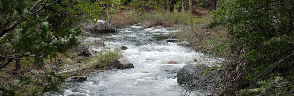 Stanislaus River, Stanislaus National Forest, California