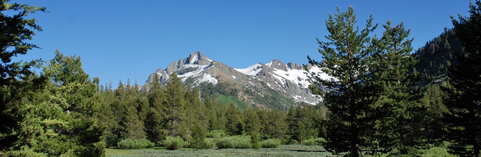 Kennedy Peak, Stanislaus National Forest, California