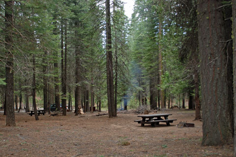 Campsite at Meadowview Campground, Pinecrest Lake, Stanislaus National Forest, CA