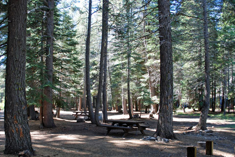 Stanislaus River Campground near Spicer Meadow Reservoir, CA