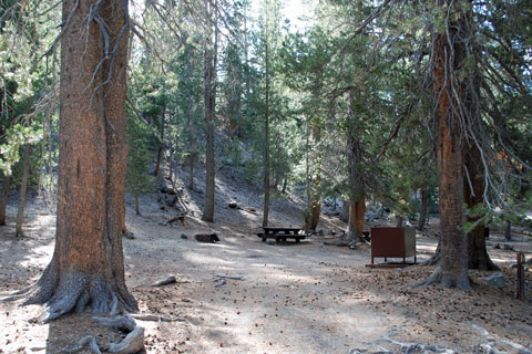 Minaret Falls Campground, Inyo National Forest, CA