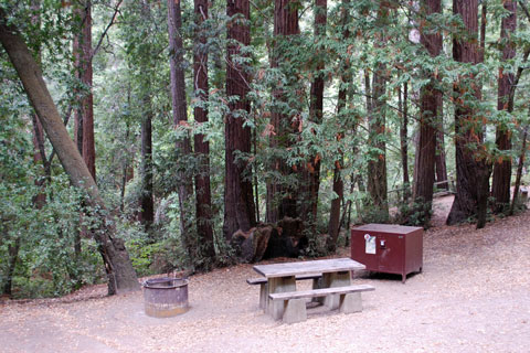 campground at Portola Redwoods State Park, CA