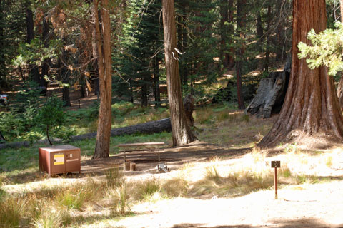 Atwell Mill Campground, Mineral King, Sequoia National Park