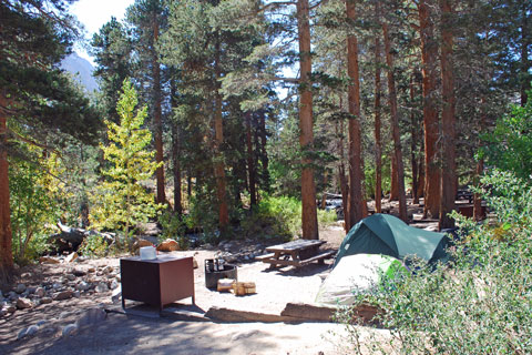 Bishop Park Campground,  Inyo National Forest, CA