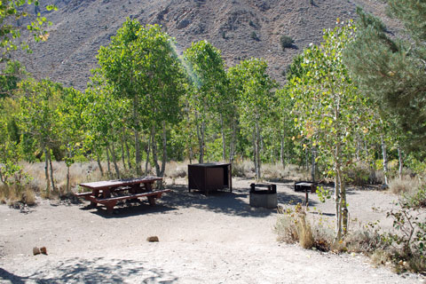 Four Jeffrey Campground,  Inyo National Forest, CA