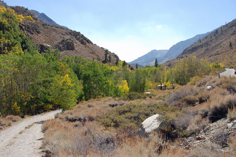 Mountain Glen Campground,  Inyo National Forest, CA