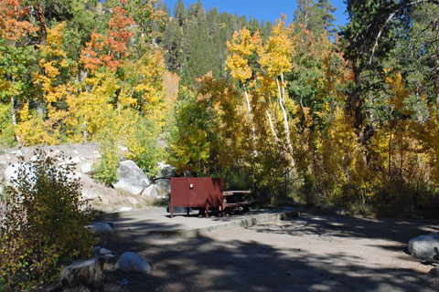 Pine Grove Campground,  Inyo National Forest, CA