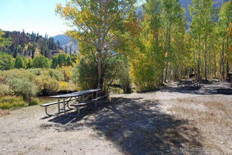 Table Mountain Group Campground,  Inyo National Forest, CA