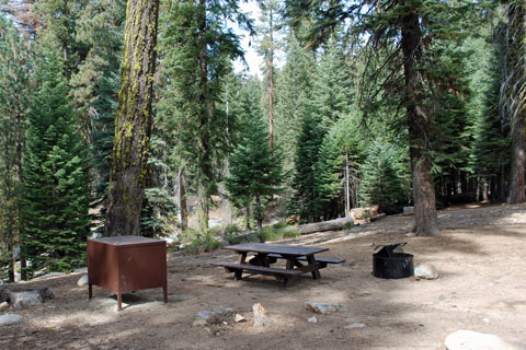 Upper Stony Creek Campground, Sequoia National Monument