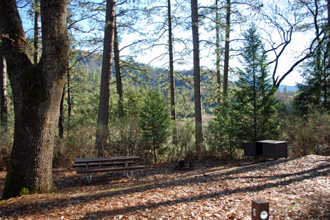 Pine Point Campground at Shasta Lake