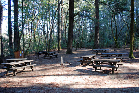 Group Campground in Bothe-Napa Valley State Park, CA