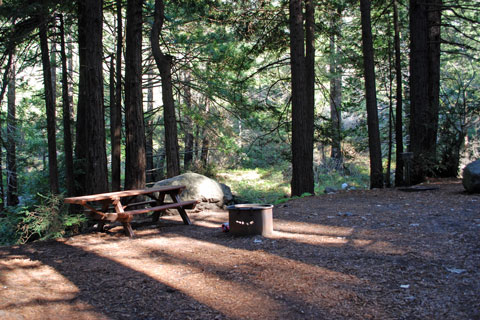 Limekiln State Park Campground, Big Sur, CA