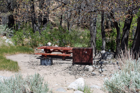 Lower Grays Meadow Campground, Inyo National Forest, CA