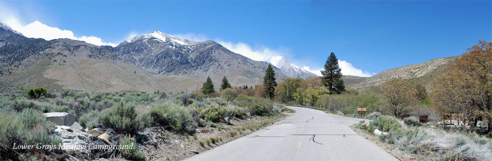 Lower Grays Meadow Campground, Inyo National Forest, CA