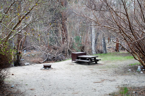 Sage Flat Campground, Big Pine Creek,  Inyo National Forest, CA