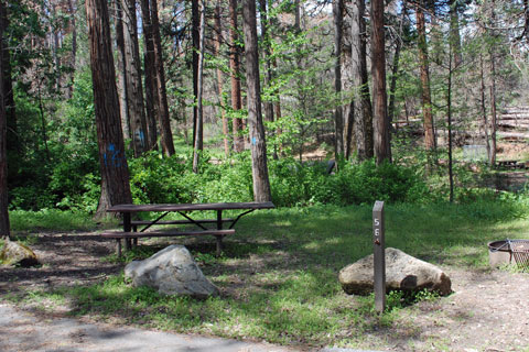 Spring Cove Campground, Bass Lake, Sierra National Forest, CA