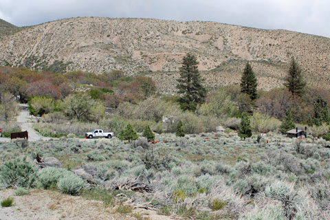 Upper Grays Meadow Campground, Inyo National Forest, CA