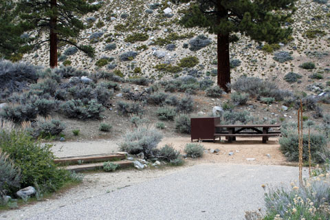 Upper Sage Flat Campground, Big Pine Creek,  Inyo National Forest, CA