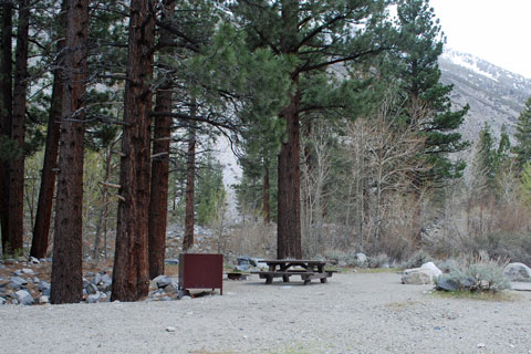 Upper Sage Flat Campground, Big Pine Creek, Inyo National Forest,   CA