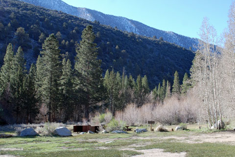 Aspen Group Campground, Big Pine Creek,  Inyo National Forest, CA