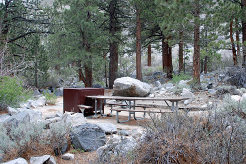 Big Pine Creek Campground,   Inyo National Forest, CA