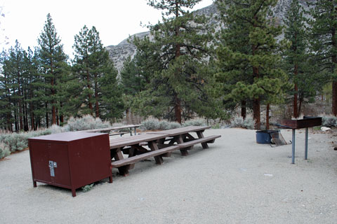 Palisade Glacier Group Campground, Big Pine Creek,  Inyo National Forest, CA