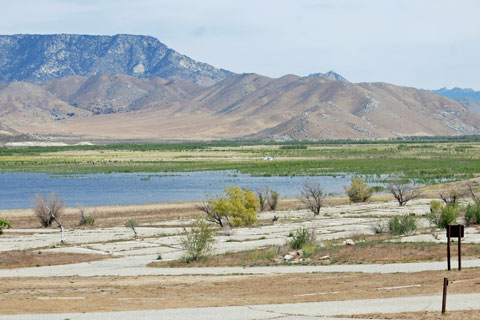 Paradise Cove Campground, Kern River, CA