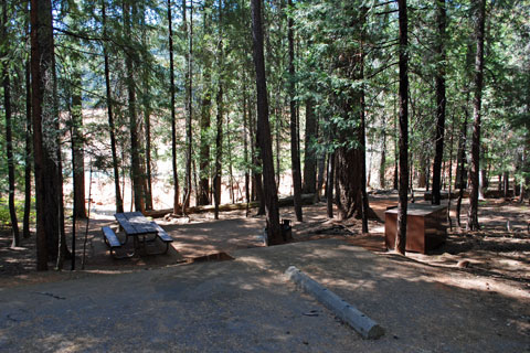 Alpine View Campground at Trinity Lake