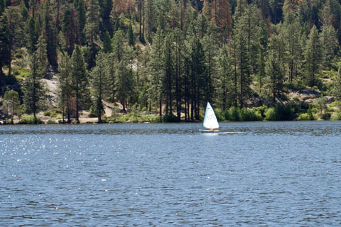 sailing on Hume Lake, Sequoia National Forest, CA