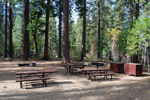 TeleLi puLaya Group Campsite, Stanislaus National Forest, CA