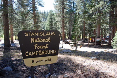 Bloomfield Campground near Ebbetts Pass, CA