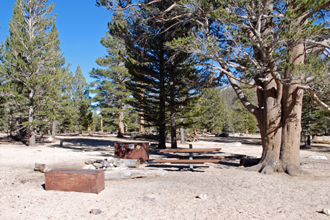 Cottonwood Pass Trailhead Campground, Inyo National Forest, CA