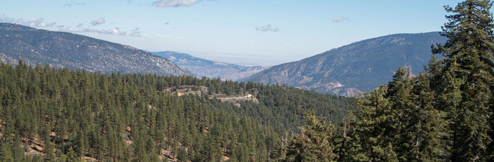 view from Mt. Pinos, Los Padres National Forest,  California