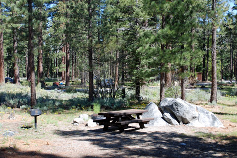 Fallen Leaf Campground, Fallen Leaf Lake, CA