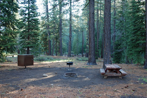 Goose Meadows Campground, Tahoe National Forest