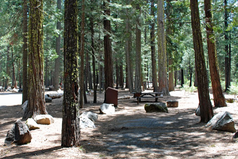 Yellowjacket Campground, Union Valley Reservoir, CA