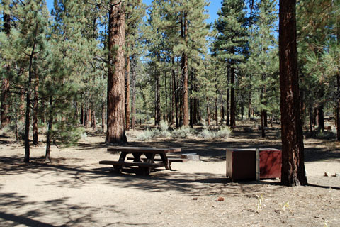 Heart Bar Campground, San Bernardino National Forest, CA