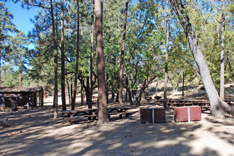 Lobo Group Campground, San Bernardino National Forest, CA