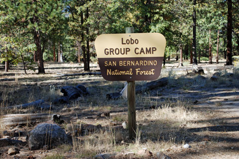 Lobo Group Campground sign, San Bernardino National Forest, CA