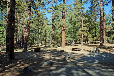 San Gorgonio Campground, San Bernardino National Forest, CA