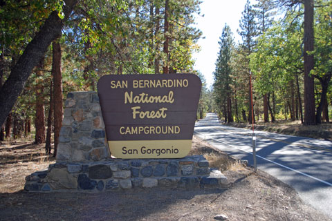 San Gorgonio Campground sign, San Bernardino National Forest, CA