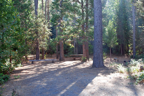 Sims Flat Campground, along the Sacramento River in the Shasta-Trinity National Forest, CA