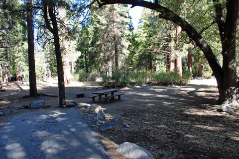 South Fork Campground, San Bernardino National Forest, CA
