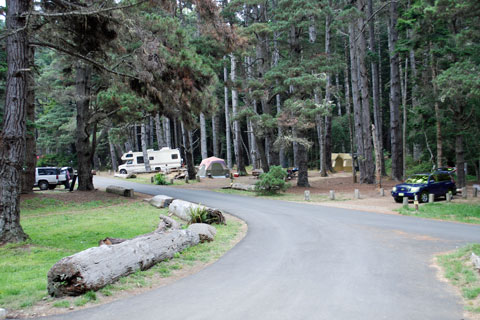 Van Damme State Park Campground, Mendocino coast